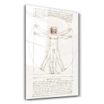 Leonardo da Vinci'nin Vitruvius Adamı | Cam Tablo