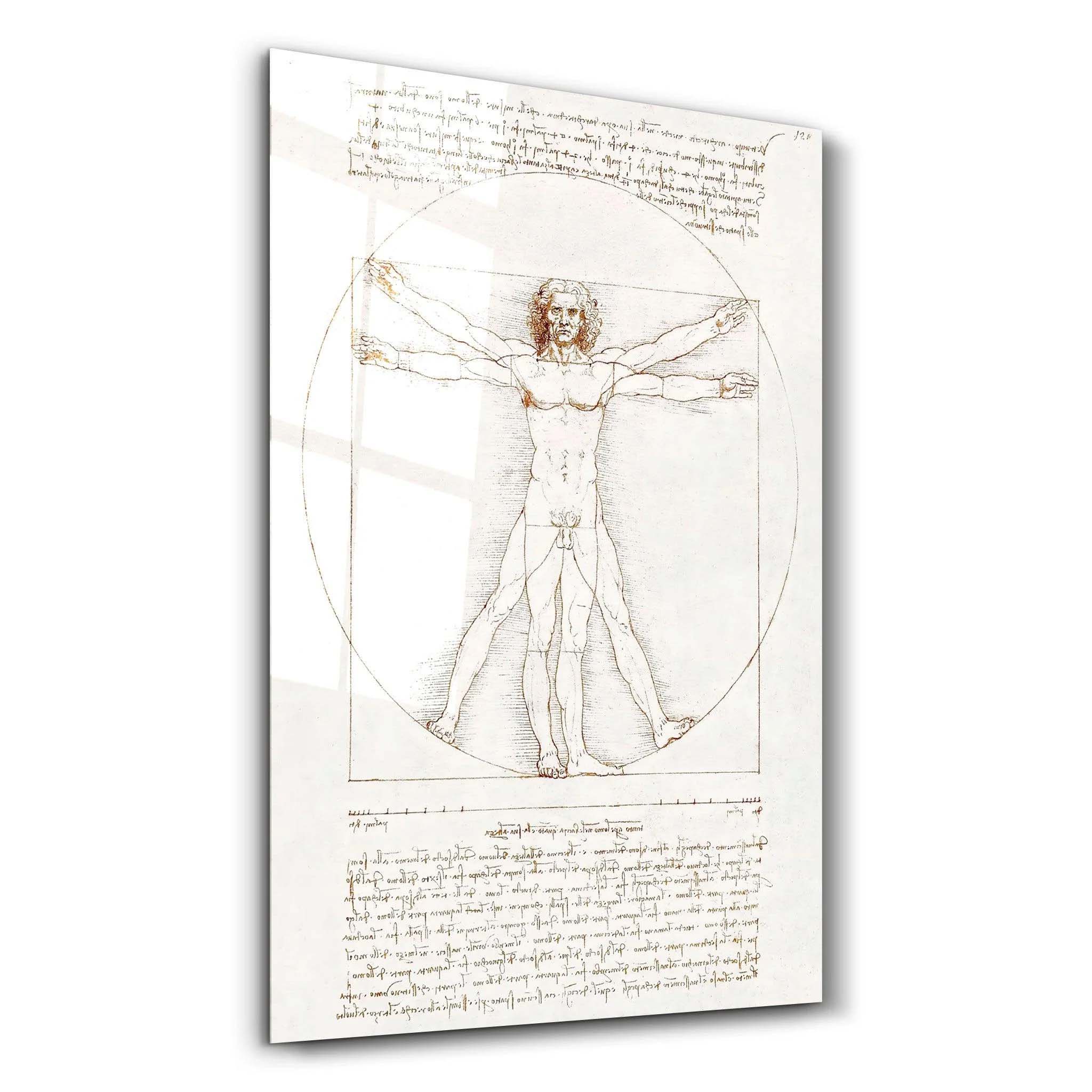 Leonardo da Vincinin Vitruvius Adamı 1498 Leonardo da Vinci'nin Vitruvius Adamı | Cam Tablo - Görsel 1