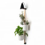 Loft Glow Duvar Bitki Standı